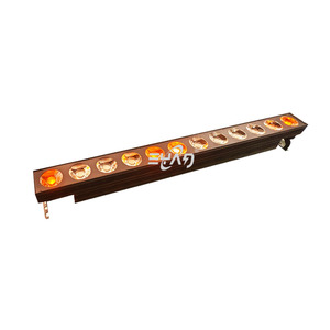 12x Single-Chip Wall Wash Light