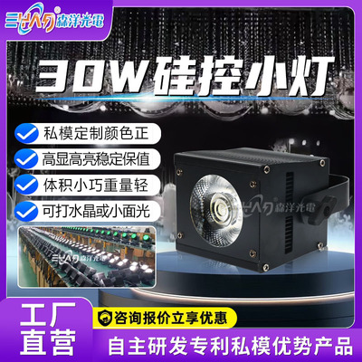 30W硅控小灯