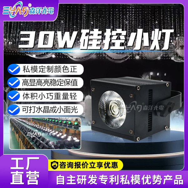 30W硅控小灯